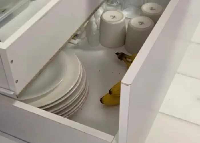 Panoramic View - Penthouse